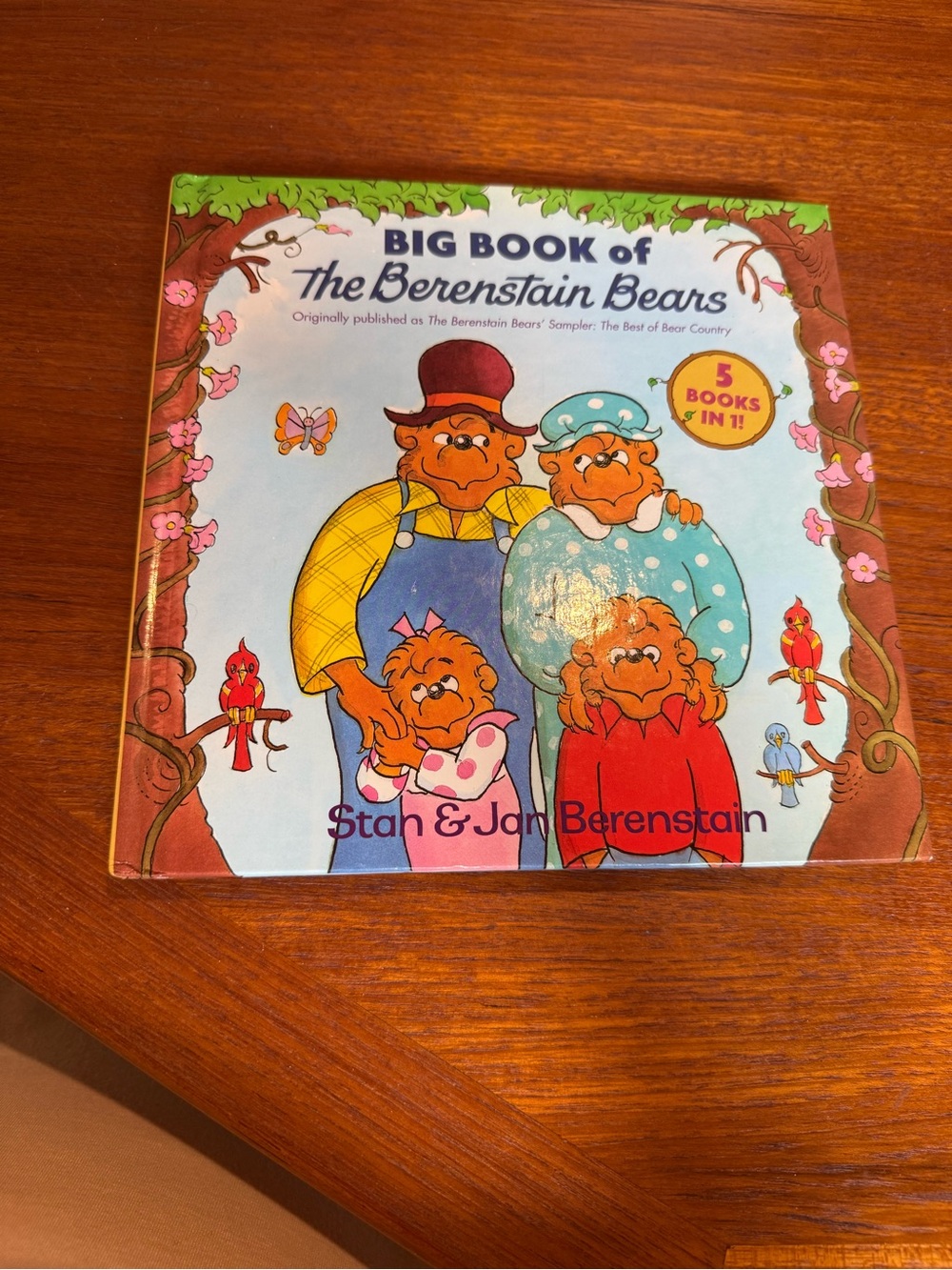Vintage Big Book of The Berenstain Bears by Stan & Jan Berenstain